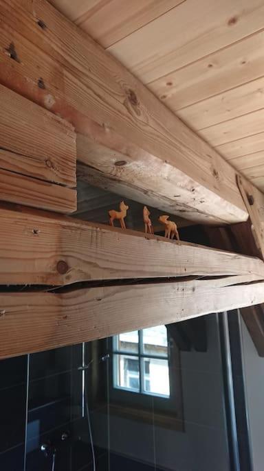 Mothsgut - Moderne Ferienwohnung Auf Dem Bauernhof Im Erzgebirge Oelsnitz  Dış mekan fotoğraf