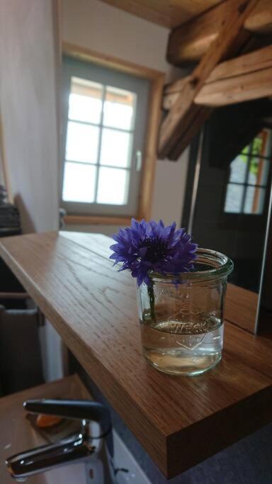 Mothsgut - Moderne Ferienwohnung Auf Dem Bauernhof Im Erzgebirge Oelsnitz  Dış mekan fotoğraf